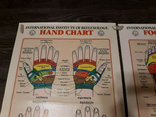 Vintage International Institute of Reflexology Hand Chart & Foot Chart 1983 5