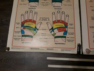 Vintage International Institute of Reflexology Hand Chart & Foot Chart 1983 6
