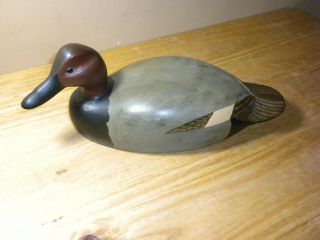 Herb Daisey Jr Decoy Carved Canvas Back Drake Duck Chincoteague,  Va