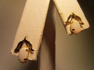 Vintage 14k Solid Gold White Fire Opal Stud Earrings Estate