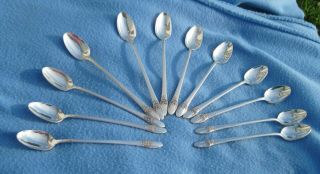 Vintage Set Of 12 1847 Rogers Bros First Love Iced Tea Spoons No Monograms