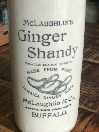 Vintage McLaughlins Ginger Shandy - Ginger Beer Stone Buffalo Ginger Beverage 3