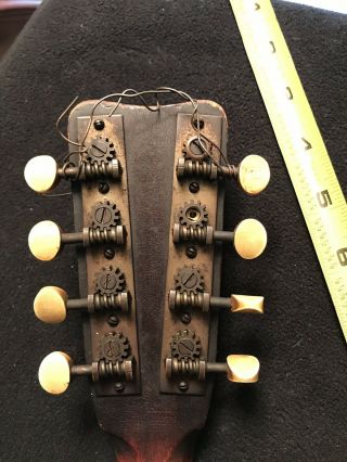 Vintage 1890 - 1920 Mandolin Unbranded Wood With The Tuners