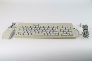 Vintage Apple M0116 Keyboard With Mouse and Cable 2