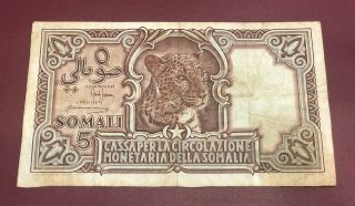 Italian Somalia 5 Somali 1951 Tiger Bank Note Extra Rare Cillection