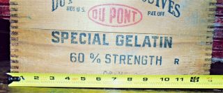 Antique/\Vintage Wood Wooden Dovetailed Crate DUPONT Special Gelatin EXPLOSIVES 2