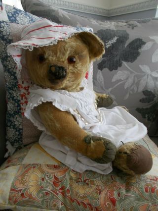 " Mirabelle " - Gorgeous Chad Valley Bear - 1930 