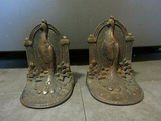 Vintage Antique Cast Iron “peacock” Bookends From The 1930 