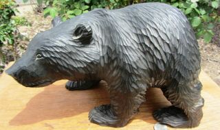 Very Fine Large Finely Carved Vintage Antique Black Forest Bear 12 1/2 " X 8 1/4 "