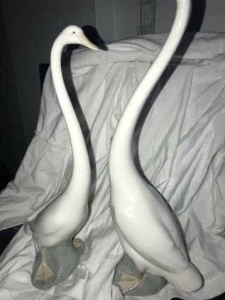 Vintage Nao Lladro Daisa Elongated Neck Swan Goose Duck Figurine Spain Tall Set