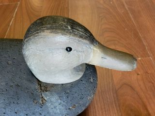Vintage Coot Decoy Co.  Mallard Duck Decoy Circa 1940 Weighted 2