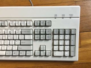 Rare Gateway 2000 Keyboard PS/2 Connection Vintage MN 2194014 - XX - XXX Great 2