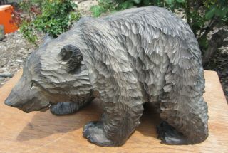 Large Finely Carved Vintage Antique Black Forest Bear 12 1/2 " X 8 1/2 "