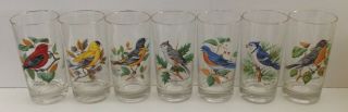 Set Of 7,  Vintage Song Birds Drinking Glasses Tumblers Drinkware