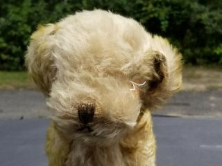 Antique Mohair Swivel Head PUPPY DOG Two Toned Steiff Chiltern Bing 11 