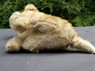 Antique Mohair Swivel Head PUPPY DOG Two Toned Steiff Chiltern Bing 11 