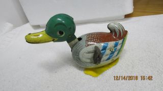 Vintage Tin Windup Duck Made In Germany,  Moving Mouth,  Eyes.