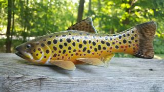 Brown Trout Fish Decoy Carved By Harley Ragan - Spearing Lure