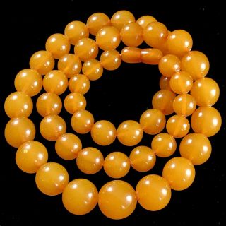 Vintage 60s Baltic Amber Necklace 72gm Graduated Round Butterscotch Amber Beads