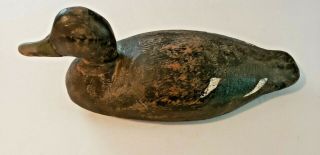 Antique Wooden Carved Black Duck Decoy St.  Clair Flats Mi ??