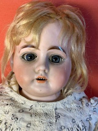 Antique Heubach Koppelsdorf 1900 - 2/0 Bisque Shoulder Head Doll 20 "