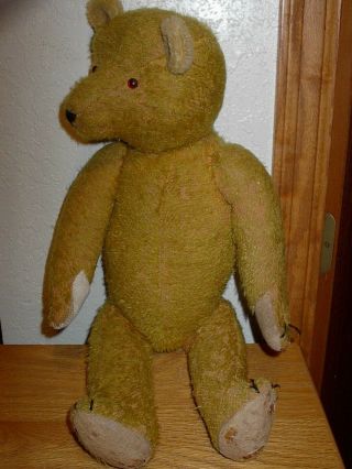 Antique Old Bright Gold Mohair Teddy Bear 20 " Excelsior Stuffed