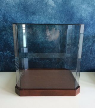 Vintage Glass Display Case Wood Base For Figurines Taxidermy 13 " Ht