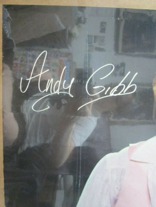 ANDY GIBB 1978 STIGWOOD GROUP VINTAGE POSTER HOT GUY CNG331 3