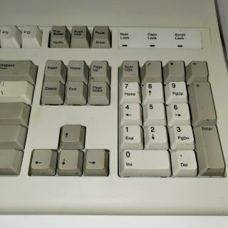 Vintage Dell PS/2 Beige Mechanical Clicky Keyboard GYUM95SK AT101 EUC 2