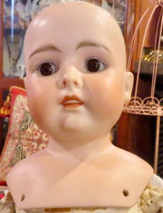 Antique 22 " German Bisque Kestner Closed Mouth Doll On Gorgeous Kid Body