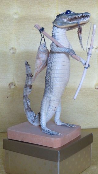 Vintage Taxidermy Caiman Alligator Stuffed Doll Florida Souvenir Fl