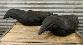 Pair Vtg Ca.  30s 40s Large Black Crow Hertera Paper Mache 16 " Hunting Decoys