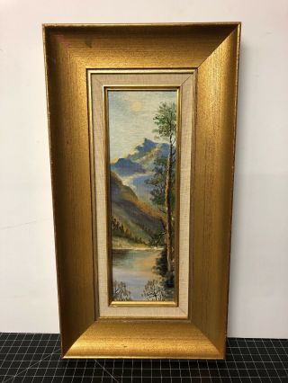 Vintage Oil Painting Landscape Signed Framed Dooley 9x17”