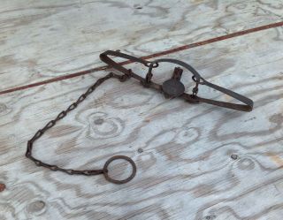 Vintage Newhouse No.  3 Trap With Chain Property Of The United States