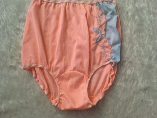 Vtg Plymouth Brief Panty Medium M 6 Granny Double Nylon Gusset Blue Pink/coral