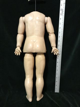 Antique French 19” SFBJ Walking Head Turning Doll Body For 24” Jumeau Or Other 2
