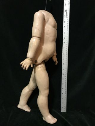 Antique French 19” SFBJ Walking Head Turning Doll Body For 24” Jumeau Or Other 4