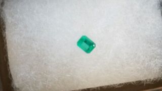 Vintage Columbian Loose Cut Emerald