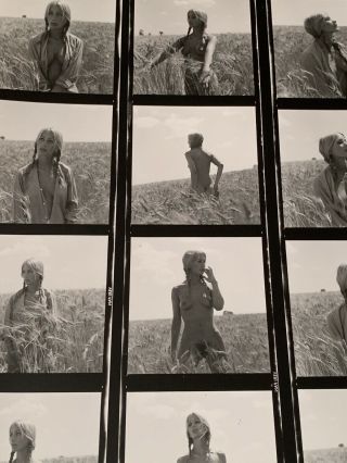 8x10 Contact Sheet 50 - 70s Wheat Field Art Posed Nude Eyes Serge Jacques