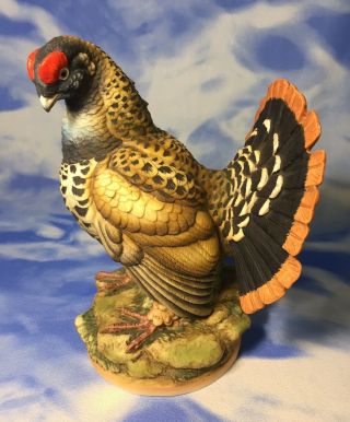 Rare Vintage Andrea By Sadek " Spruce Grouse " Porcelain Bird Figurine 5745 Euc