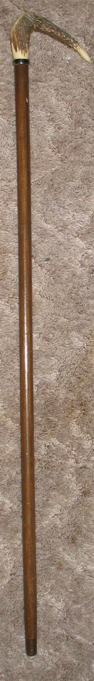 Vintage Wooden Antler Head Handle Walking Stick Cane