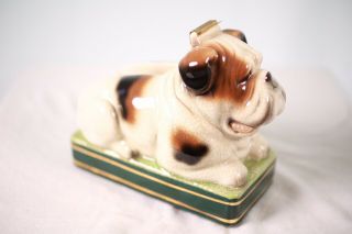 Vintage Bulldog Desktop Tape Dispenser Takahashi Porcelain Ceramic Rare Gorgeous 3