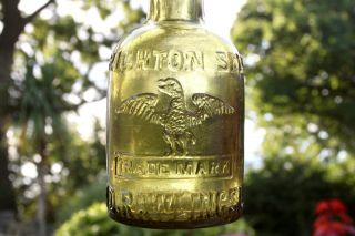 Vintage 1900s Rawlings Brighton Seltzer Water Amber Dumpy Seltzer Mineral Bottle