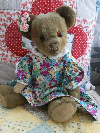 " Violetta " - Gorgeous Old 12 " Merrythought Bear
