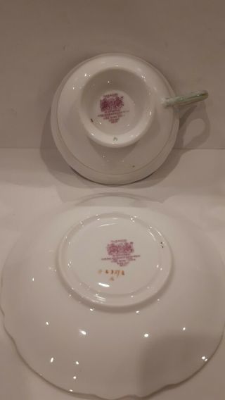Vintage Paragon Cup And Saucer Black Green Pink Roses 6