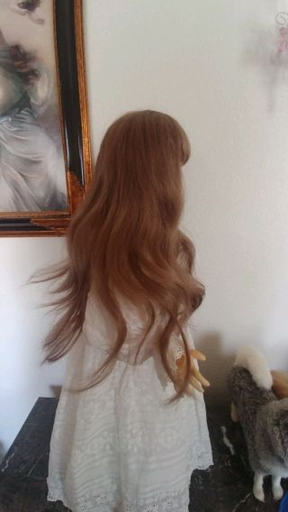 ❤long Brunette Brown ❤human Hair Doll❤ Wig Size 16 " Head Cir.