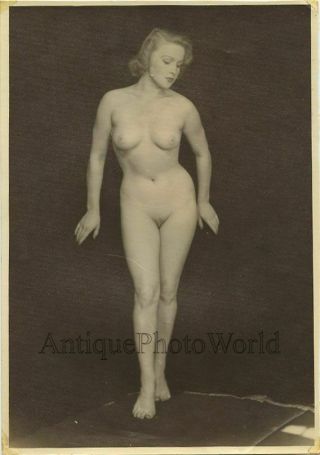 Young Nude Woman Vintage Studio Photo