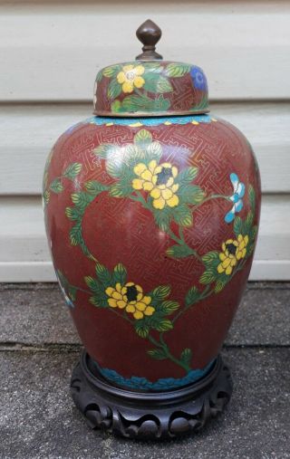 Vintage Chinese CloisonnÉ Lidded Ginger Jar With Stand - Brown W Flowers 10 "