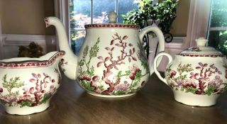 England Indian Tree Teapot,  Cream & Sugar Vintage W.  R.  Midwinter Ltd.  Pink Green