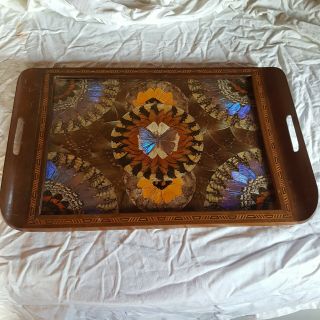 Vintage Butterfly Wing Tray Art Deco Wood Inlay Glass